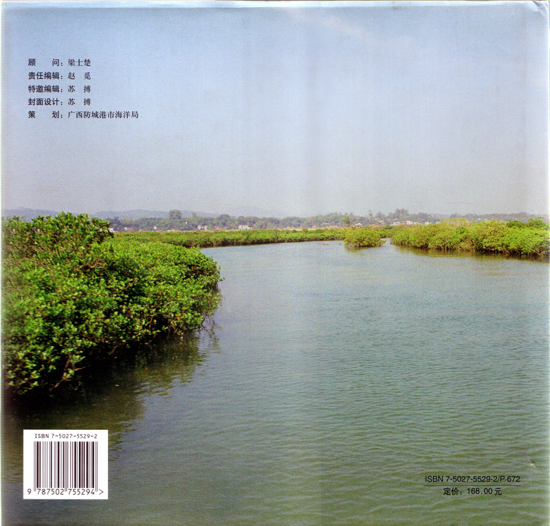 Approach to Mangroves - rückseite